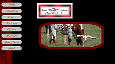 Tennessee Valley Association of Longhorn Breeders